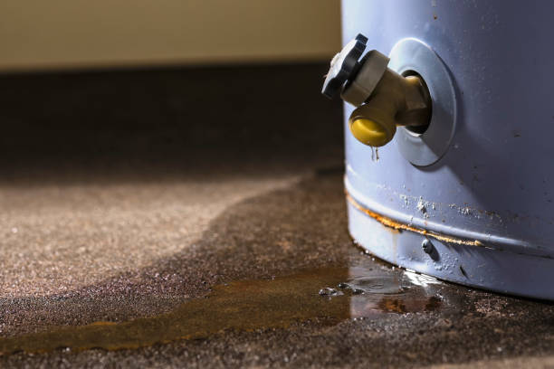 Best Flooded house restoration  in West Clarkston Highland, WA