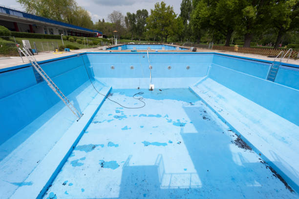 Best Professional water damage repair  in West Clarkston Highland, WA