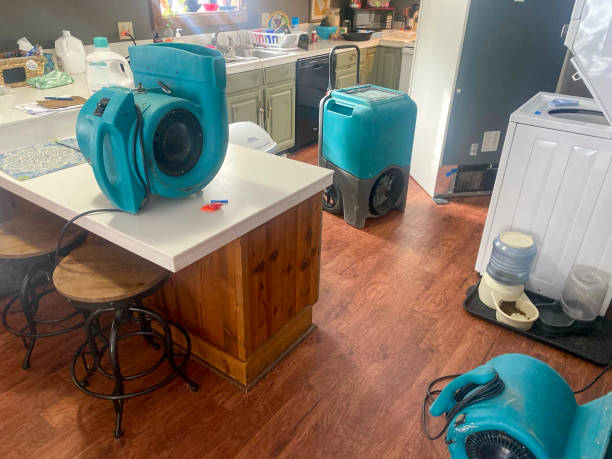 Best Residential water damage restoration  in West Clarkston Highland, WA