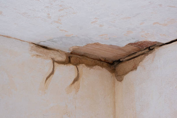 Reliable WA Water damage restoration Solutions