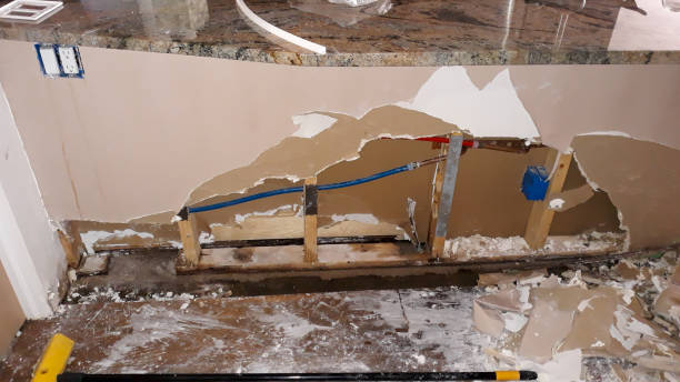 Best Water damage mitigation services  in West Clarkston Highland, WA