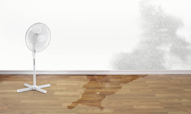 Best Fire Damage Restoration  in West Clarkston Highland, WA