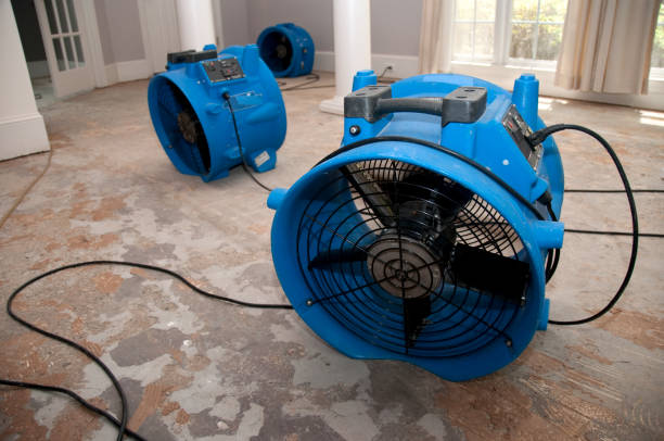 Best Water damage contractors near me  in West Clarkston Highland, WA