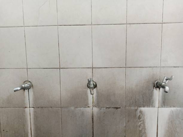 Best Local water damage restoration  in West Clarkston Highland, WA