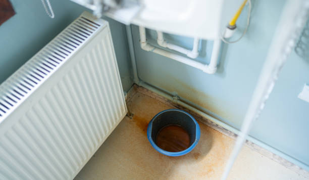 Best Basement water damage restoration  in West Clarkston Highland, WA