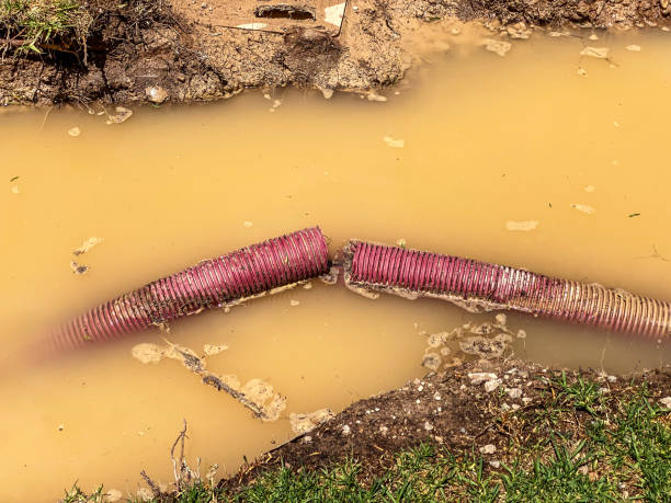 Best Water damage restoration near me  in West Clarkston Highland, WA